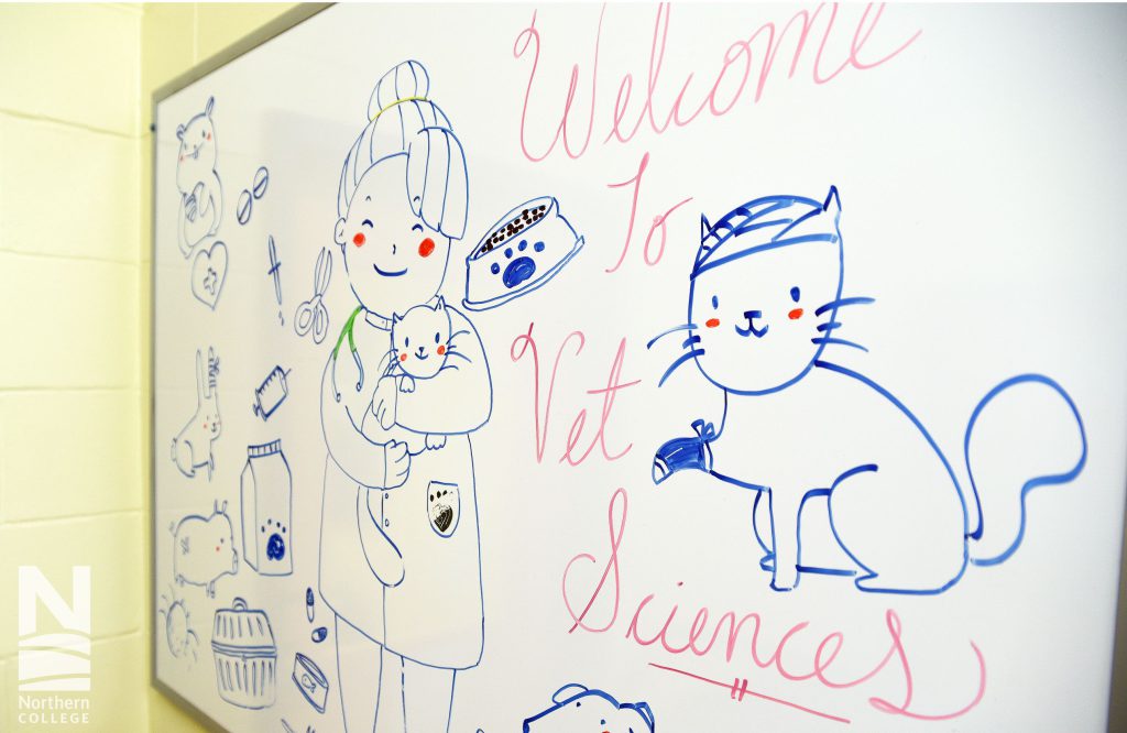 Veterinary Sciences at Northern college Haileybury campus