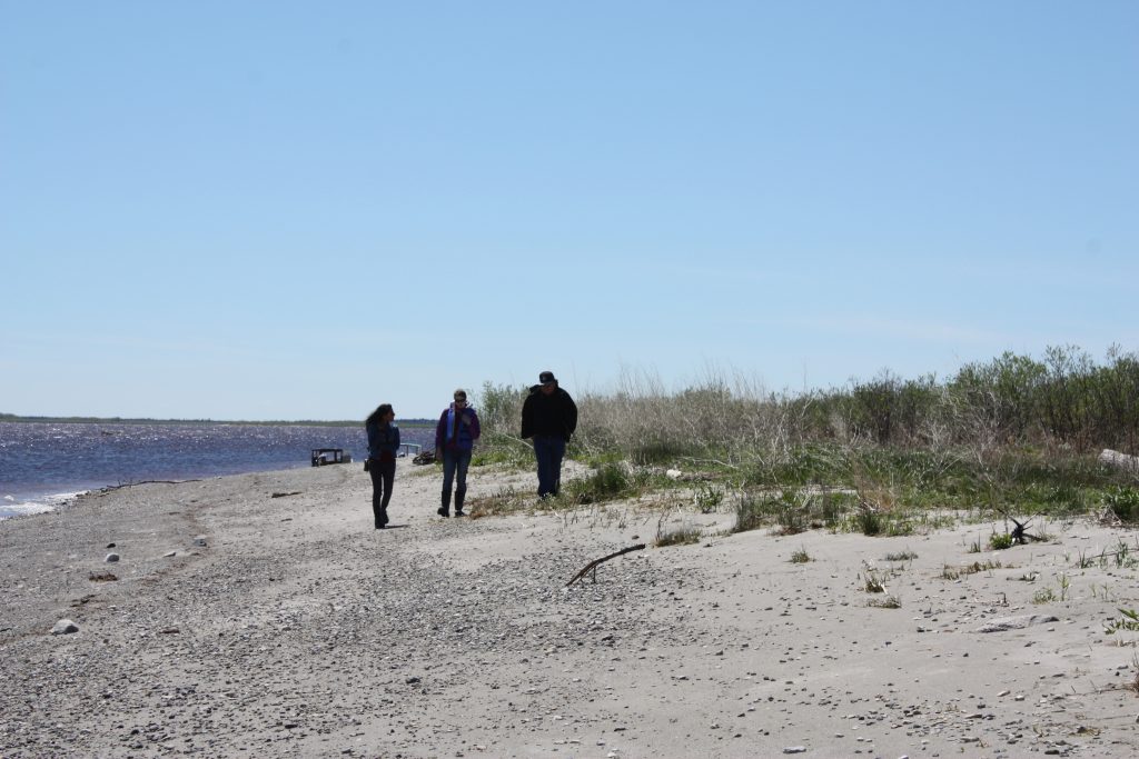 Moose River shores