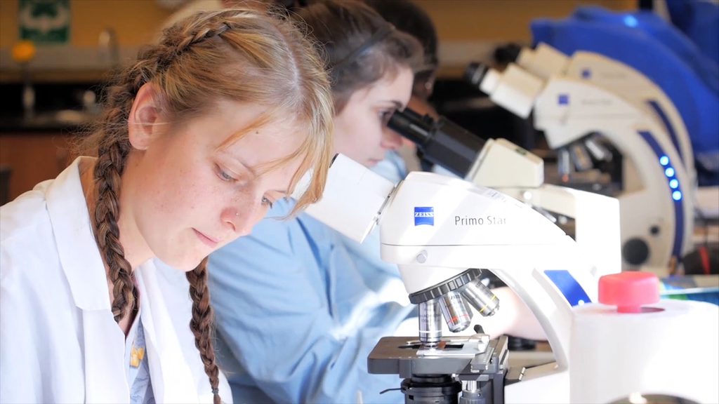 Veterniary Technician students learning with microscope