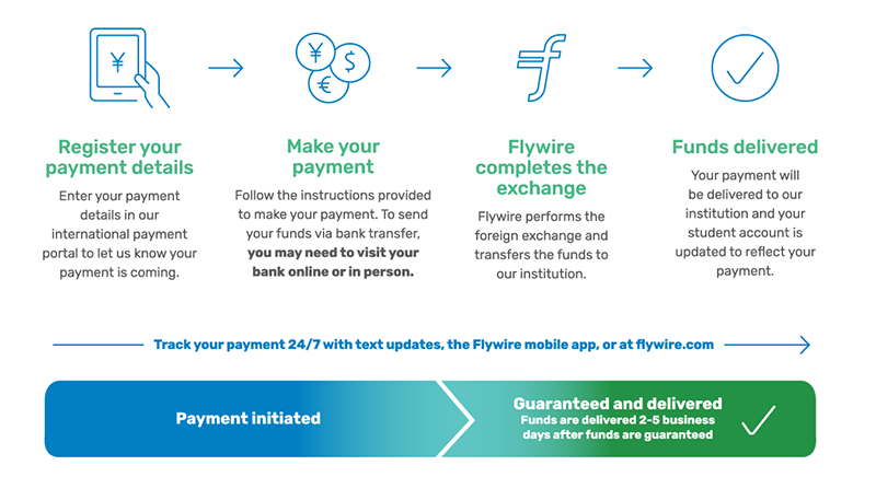 Flywire Instructions