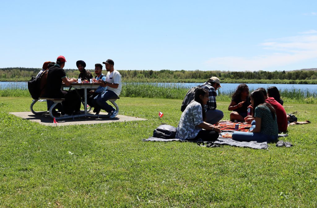 students having picnic on campus