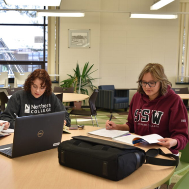 Northern College students studying